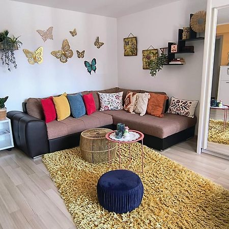 Sweet Butterflies Residence Braszów Zewnętrze zdjęcie